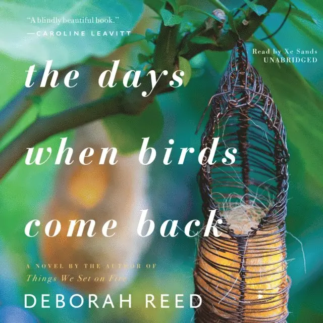 Deborah Reed - Days When Birds Come Back, Ljudbok. Tillgänglighet: Lägg i varukorg