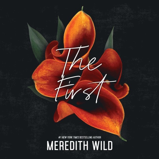 Meredith Wild - First, Ljudbok