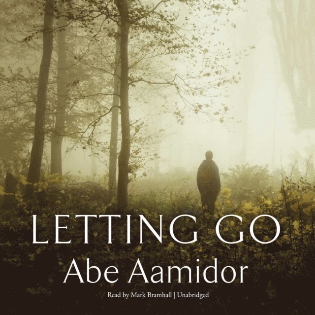 Abe Aamidor - Letting Go, Ljudbok