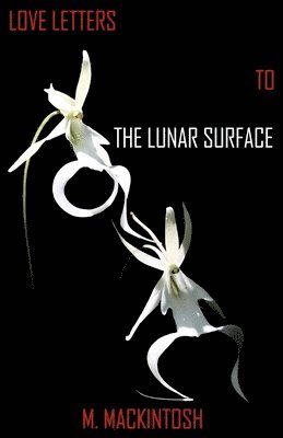 M Mackintosh - Love Letters to the Lunar Surface, Häftad