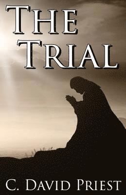 C. David Priest - The Trial, Häftad. Tillgänglighet: Lägg i varukorg