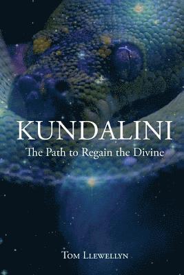 Tom Llewellyn - Kundalini: The path to regain the divine, Häftad. Tillgänglighet: Lägg i varukorg