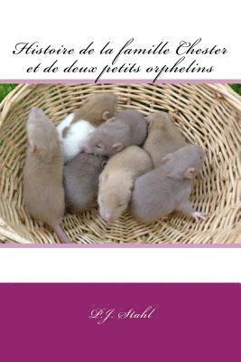 P. J. Stahl - Histoire de la famille Chester et de deux petits orphelins, Häftad. Tillgänglighet: Lägg i varukorg