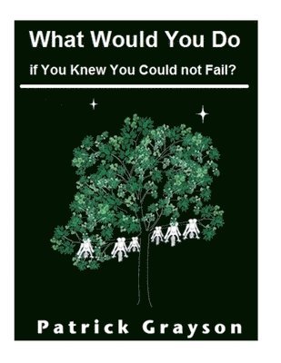 Patrick Grayson - What Would You Do If You Knew You Could Not Fail?, Häftad. Tillgänglighet: Lägg i varukorg