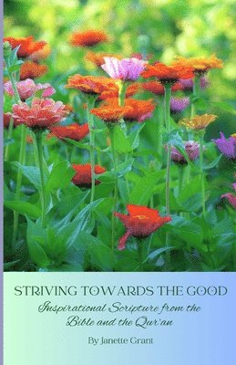 Janette Grant - Striving Towards The Good, Häftad. Tillgänglighet: Lägg i varukorg