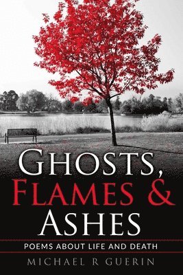 Michael R Guerin - Ghosts, Flames & Ashes, Häftad. Tillgänglighet: Lägg i varukorg