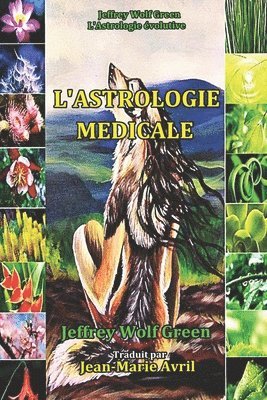 Jeffrey Wolf Green - L'Astrologie Medicale, Häftad. Tillgänglighet: Lägg i varukorg