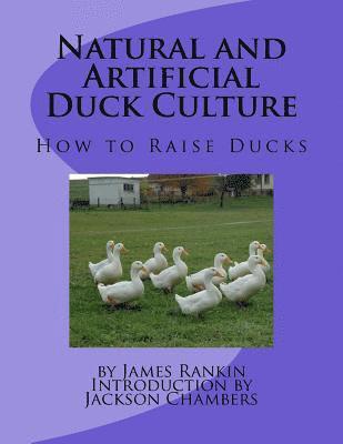 James Rankin - Natural and Artificial Duck Culture: How to Raise Ducks, Häftad. Tillgänglighet: Lägg i varukorg