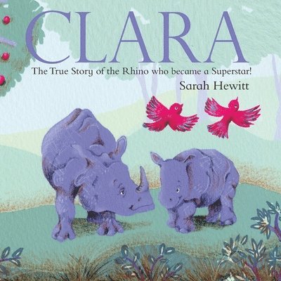 Sarah Hewitt - Clara, Häftad. Tillgänglighet: Tillfälligt slut