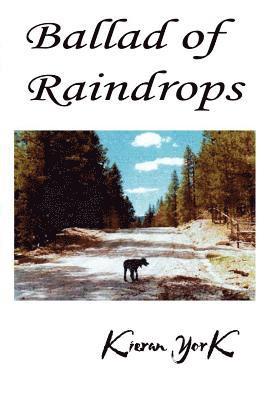 Kieran York - Ballad of Raindrops, Häftad. Tillgänglighet: Lägg i varukorg