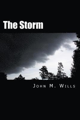 John M. Wills - The Storm, Häftad. Tillgänglighet: Lägg i varukorg