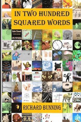 Richard Bunning, Carol Shetler - In Two Hundred Squared Words, Häftad. Tillgänglighet: Lägg i varukorg