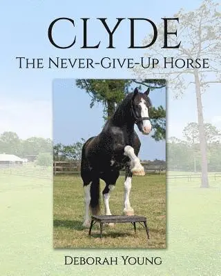 Deborah Young - Clyde: The-Never-Give-Up-Horse, Häftad. Tillgänglighet: Lägg i varukorg