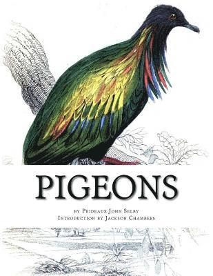 Prideaux John Selby - Pigeons: Pigeon Classics Book 9, Häftad. Tillgänglighet: Lägg i varukorg