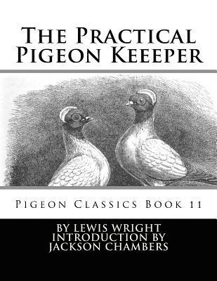 Lewis Wright - The Practical Pigeon Keeeper: Pigeon Classics Book 11, Häftad. Tillgänglighet: Lägg i varukorg