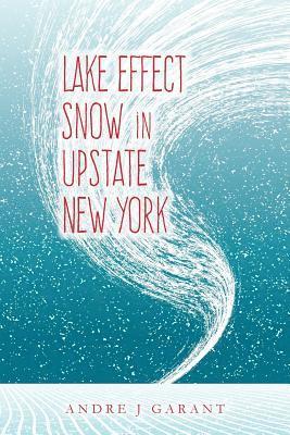 Andre J. Garant - Lake Effect Snow in Upstate New York, Häftad. Tillgänglighet: Lägg i varukorg