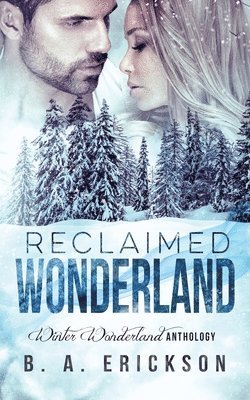 B. a. Erickson - Reclaimed Wonderland: Winter Wonderland Anthology, Häftad