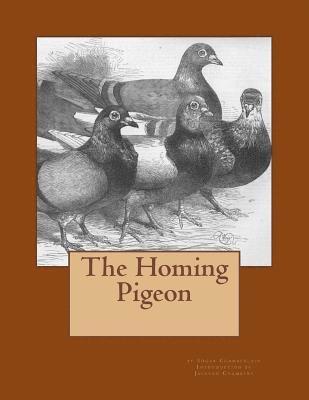 Edgar Chamberlain - The Homing Pigeon, Häftad. Tillgänglighet: Lägg i varukorg