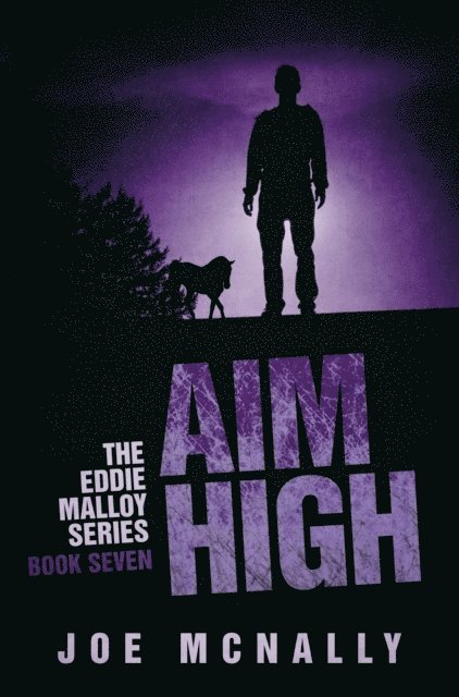 joe mcnally - Aim High, E-bok
