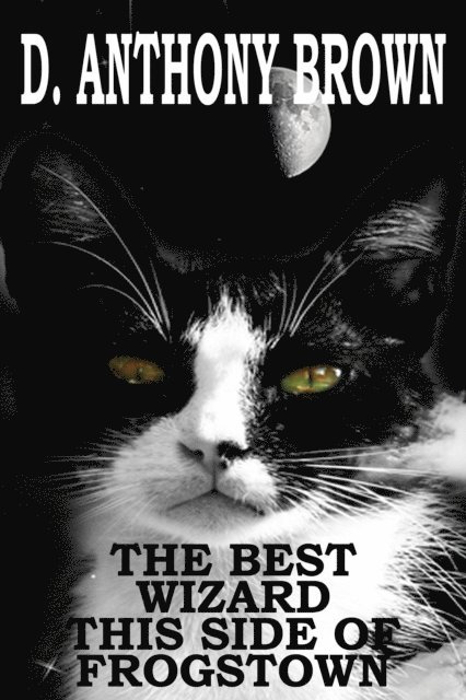 D. Anthony Brown - Best Wizard This Side of Frogstown, E-bok