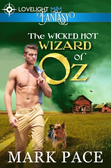 Matthew W. Grant, Mark Pace - Wicked Hot Wizard of Oz, E-bok