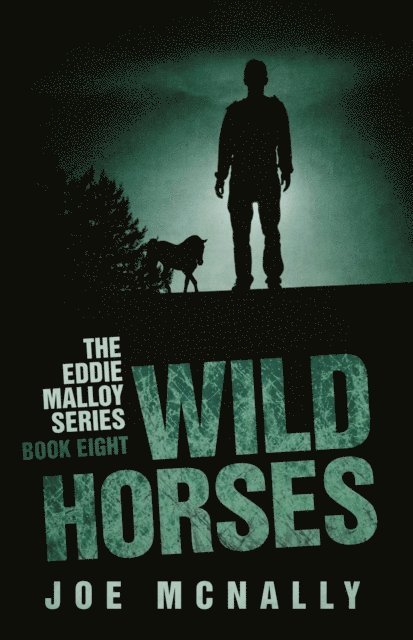 joe mcnally - Wild Horses, E-bok
