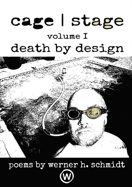 Werner Schmidt - Death by Design, E-bok