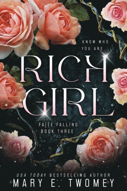 Mary E. Twomey - Rich Girl, E-bok