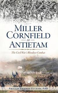 Miller Cornfield at Antietam: The Civil War's Bloodiest Combat
