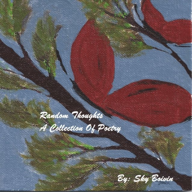 Sky Boivin - Random Thoughts, Häftad. Tillgänglighet: Lägg i varukorg
