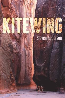 Steven Anderson - Kitewing, Häftad