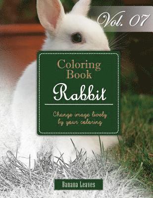 Banana Leaves - White Rabbits: Gray Scale Photo Adult Coloring Book, Mind Relaxation Stress Relief Coloring Book Vol7: Series of coloring book for ad, Häftad. Tillgänglighet: Lägg i varukorg