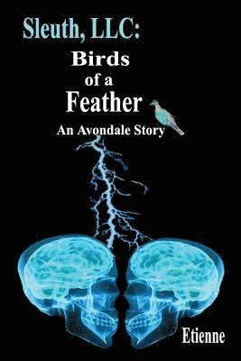 Etienne - Sleuth, LLC: Birds of a Feather: An Avpndale Story, Häftad. Tillgänglighet: Lägg i varukorg