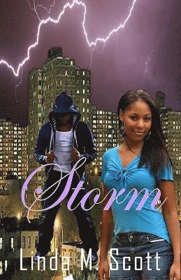 Linda M. Scott - Storm, Häftad
