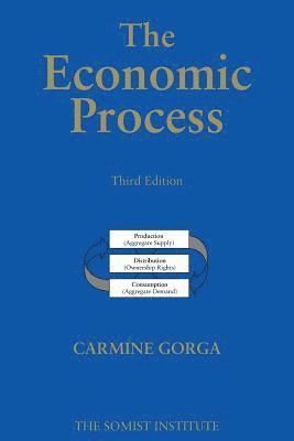 Carmine Gorga - The Economic Process: An Instantaneous Non-Newtonian Picture Third Edition, Häftad