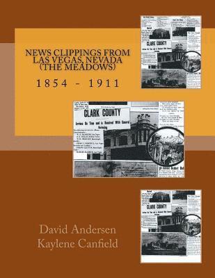 Kaylene Canfield, David Andersen - News Clippings from Las Vegas, Nevada (The Meadows), Häftad