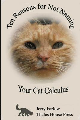 Jerry Farlow - Ten Reasons for Not Naming Your Cat Calculus, Häftad