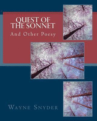 Wayne Snyder - Quest of the Sonnet: And Other Poesy, Häftad. Tillgänglighet: Lägg i varukorg