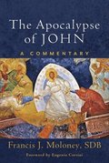 The Apocalypse of John  A Commentary