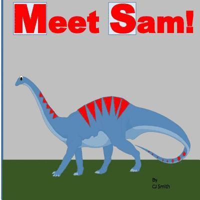 Cj Smith - Meet Sam!, Häftad. Tillgänglighet: Lägg i varukorg