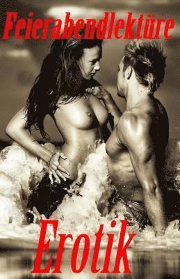 Denis Geier, 'Diverse - Feierabendlektüre Erotik, Häftad. Tillgänglighet: Lägg i varukorg