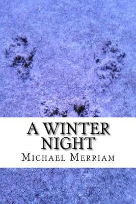 Michael Merriam - A Winter Night, Häftad. Tillgänglighet: Lägg i varukorg