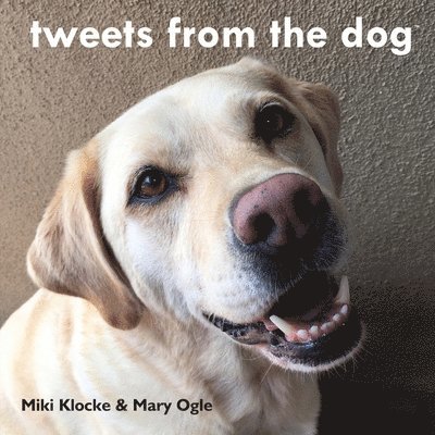 Mary Ogle, Miki Klocke - tweets from the dog, Häftad