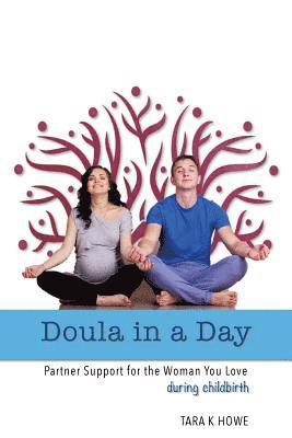 Tara K. Howe - Doula In A Day: Partner Support For The Woman You Love During Childbirth, Häftad. Tillgänglighet: Lägg i varukorg