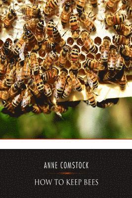 Anna Botsford Comstock - How to Keep Bees, Häftad