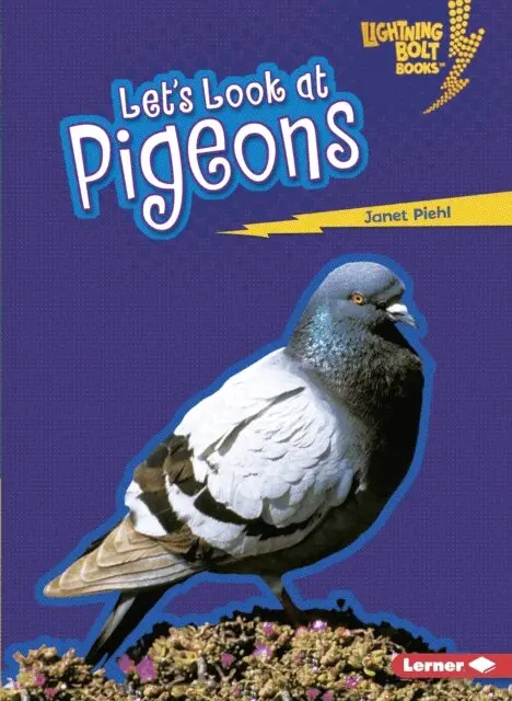 Janet Piehl - Let's Look at Pigeons, E-bok. Tillgänglighet: Lägg i varukorg