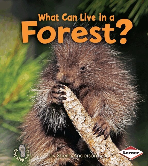 Sheila Anderson - What Can Live in a Forest?, E-bok