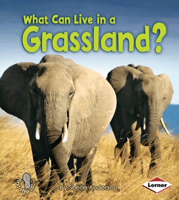 Sheila Anderson - What Can Live in a Grassland?, E-bok
