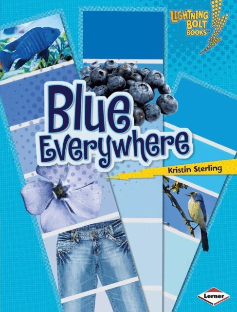 Kristin Sterling - Blue Everywhere, E-bok