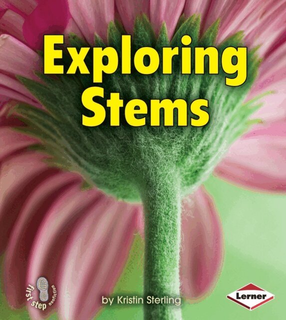 Kristin Sterling - Exploring Stems, E-bok